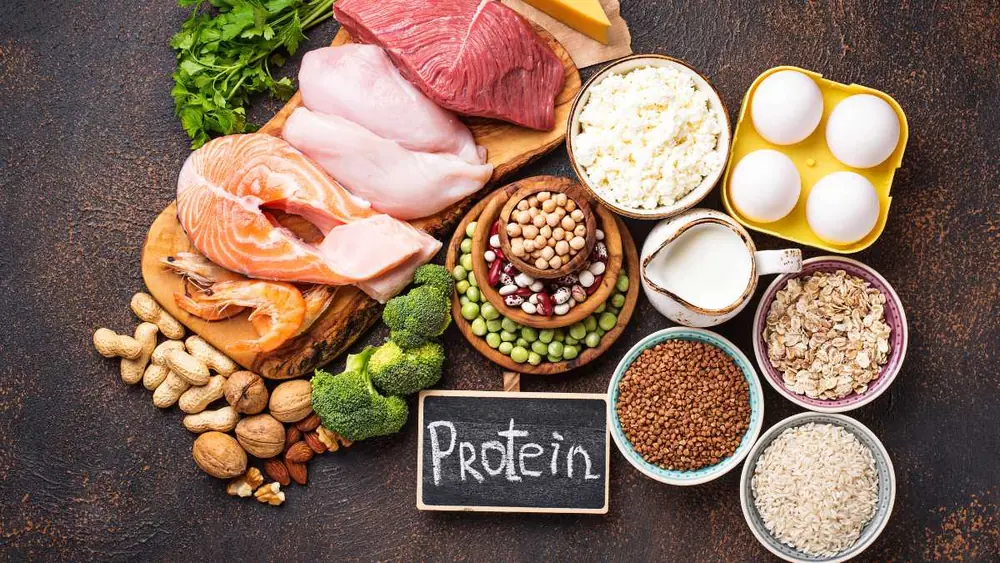Proteínas vegetais: descubra fontes para sua dieta
